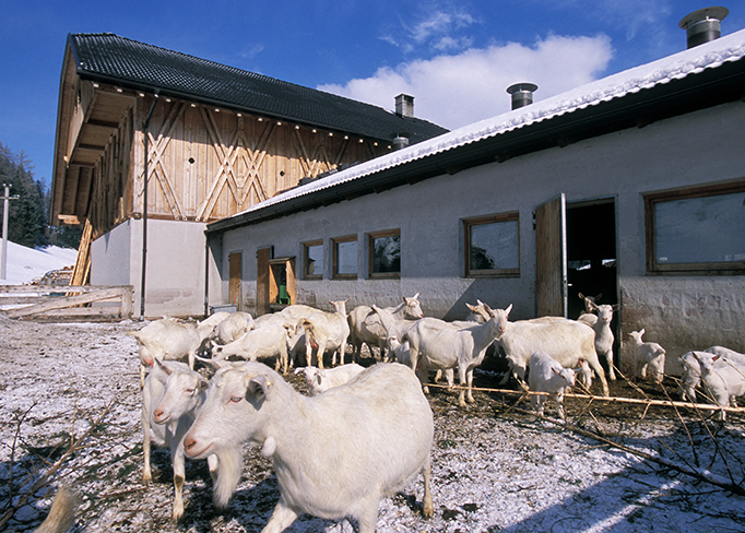 Bauernhof